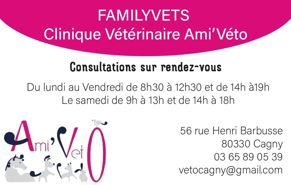 Carte de visite Clinique vétérinaire Ami’Véto